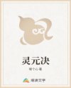 灵元决