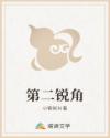第二锐角
