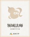 领域法师