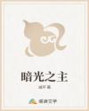 暗光之主