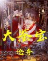 大鉴宝