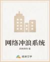网络冲浪系统