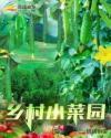 乡村小菜园