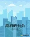 漂泊的石头