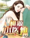 桃源小医仙