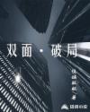 双面破局