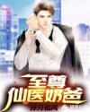 至尊仙医奶爸