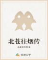 北苍往烟传