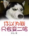 你以为我只会变二哈