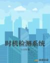 时机检测系统