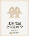 未来笔记之混乱时空