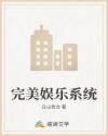 完美娱乐系统