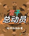 竖子总动员