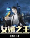 女婿之王