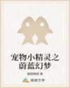 宠物小精灵之蔚蓝幻梦
