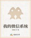 我的微信系统
