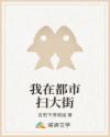 我在都市扫大街