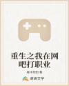 重生之我在网吧打职业