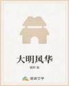 大明风华