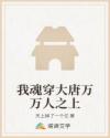 我魂穿大唐万万人之上