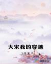 大宋我的穿越