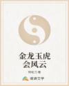 金龙玉虎会风云