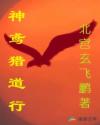 神鸢猎道行