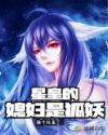 星皇的媳妇是狐妖