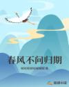 春风不问归期
