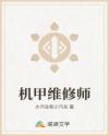机甲维修师