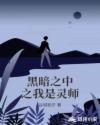 黑暗之中之我是灵师