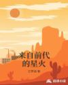来自前代的星火