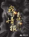 我的情报系统