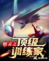 精灵之顶级训练家